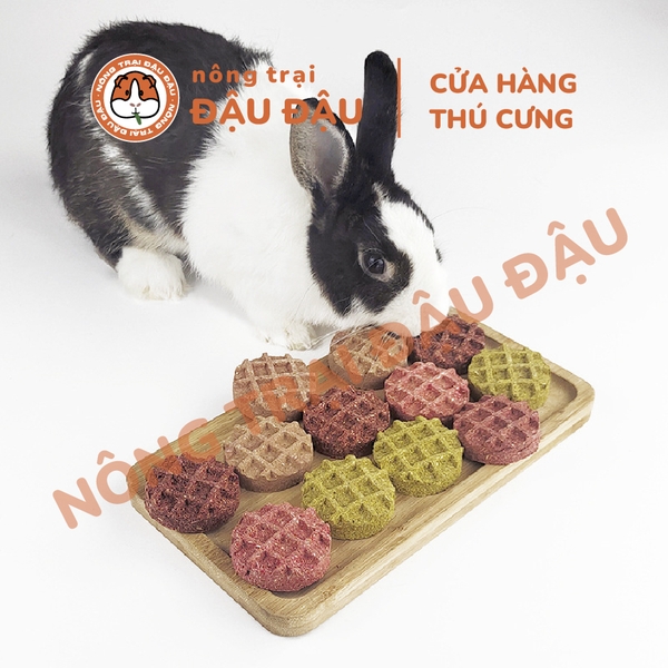 Bánh Cỏ Yến Mạch Waffle Vị Trái Cây Cho Thỏ, Bọ Ú, Chinchilla Ăn Vặt Mài Răng