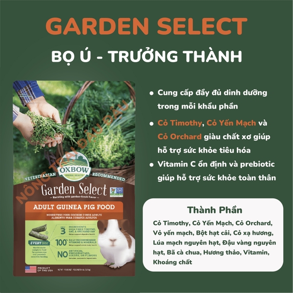 (Túi Nguyên) Guinea Pig Oxbow Essentials Adult 2,25kg