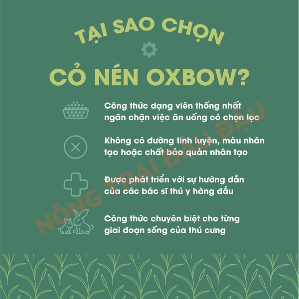 (Túi Nguyên) Guinea Pig Oxbow Essentials Adult 2,25kg
