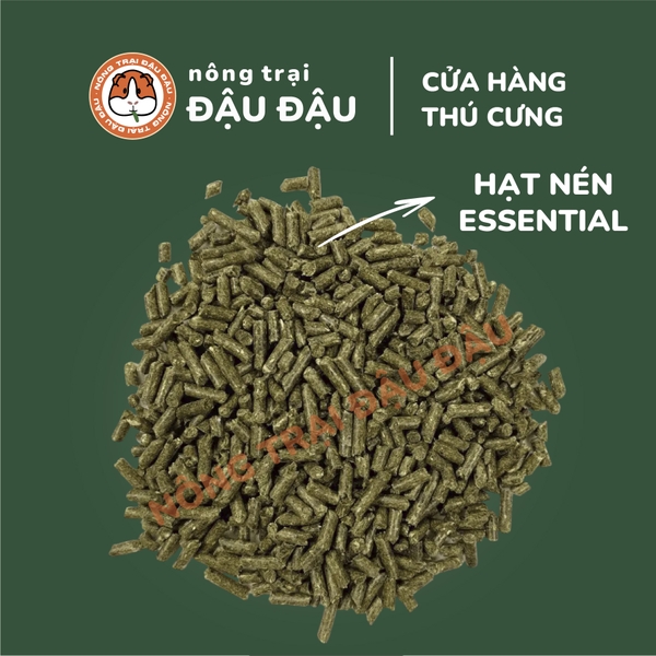 (Túi Nguyên) Guinea Pig Oxbow Essentials Adult 2,25kg