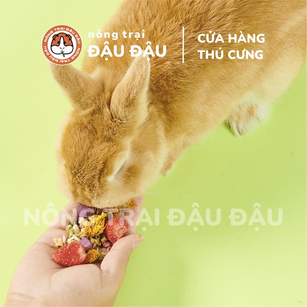 Trái Cây Rau Củ Sấy Lạnh Yee Cho Thỏ Ăn Vặt Cho Thỏ Giàu VItamim Hộp 55g