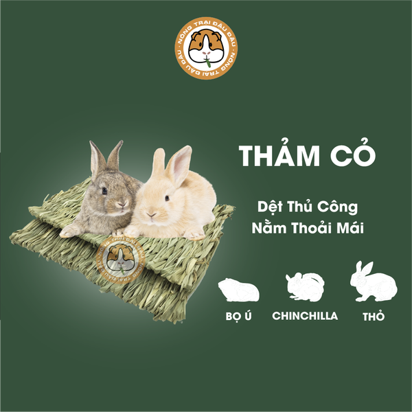 Thảm Cỏ Cho Thỏ, Bọ Ú, Chinchilla Dệt Thủ Công