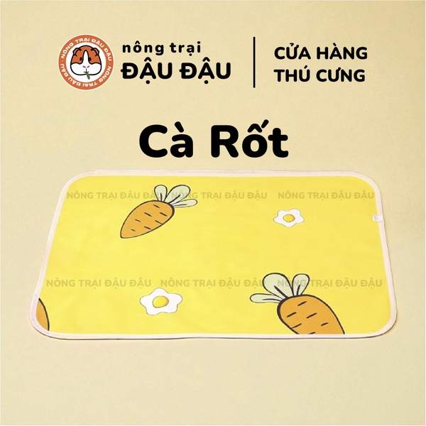 Thảm Tã Thấm Hút Lót Chuồng Cho Thỏ, Bọ Ú (Chuột Lang) Pee Pads