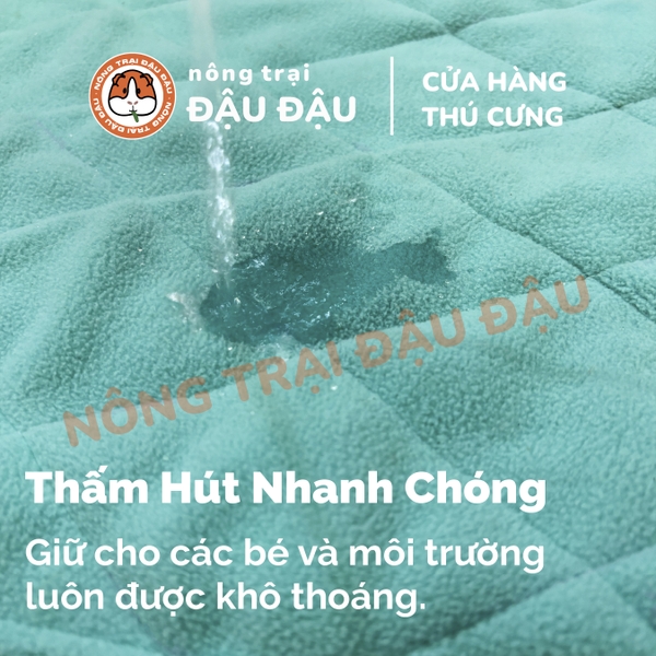 Thảm Thấm Hút Lót Chuồng Cho Thỏ, Bọ Ú (Chuột Lang) Đậu Đậu Pee Pads