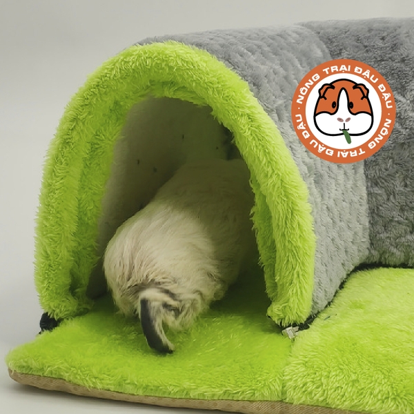 Hầm Chui Cho Bọ Ú Chuột Lang, Hamster Hầm Chui Chữ L