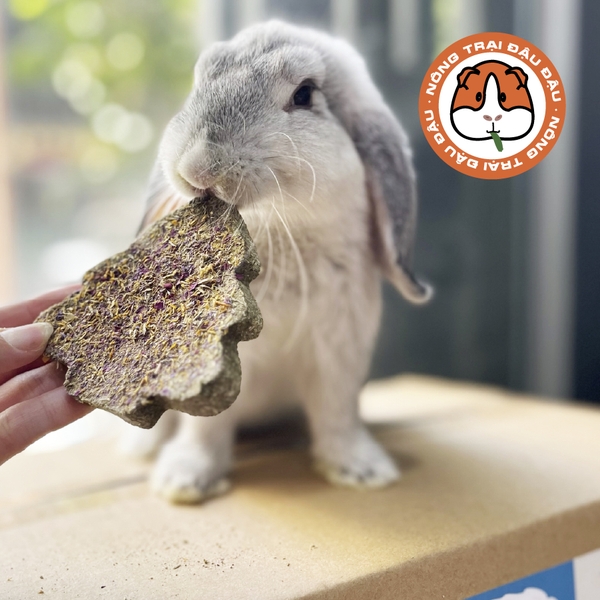Bánh Cỏ Mài Răng Mix Hoa Cho Bọ Ú, Thỏ, Chinchilla