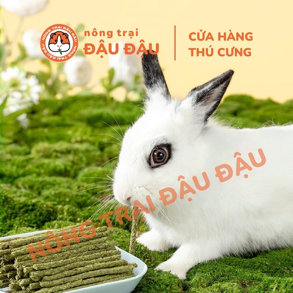 Bánh Cỏ Yee Cho Thỏ, Bọ Ú, Chinchilla, Hamster Thành Phần Từ 7 Loại Cỏ Giàu Chất Xơ