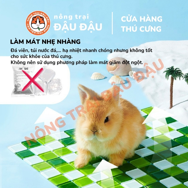 Thảm Nằm Tản Nhiệt Cho Thỏ, Bọ Ú, Chinchilla Thảm Đá Mát