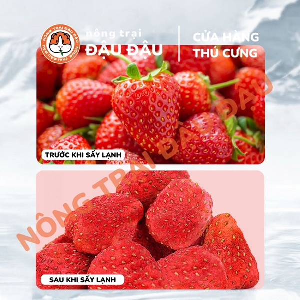 Dâu Sấy Lạnh Yee Cho Thỏ, Bọ Ú, Hamster Giàu Vitamin Hộp 20g