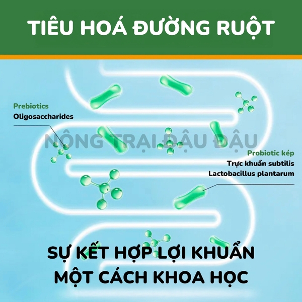Cỏ Nén Cho Thỏ Mr.Hay Bổ Sung Quả Mọng 800g