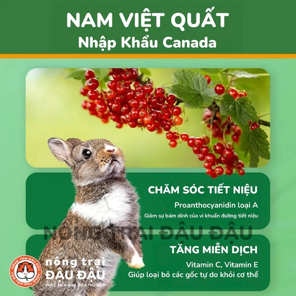 Cỏ Nén Cho Thỏ Mr.Hay Bổ Sung Quả Mọng 800g