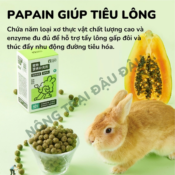 Viên Cỏ Tiêu Búi Lông Hỗ Trợ Tiêu Hoá Cho Thỏ Yee Hộp 45g