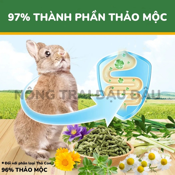 Cỏ Nén MrHay Thảo Mộc