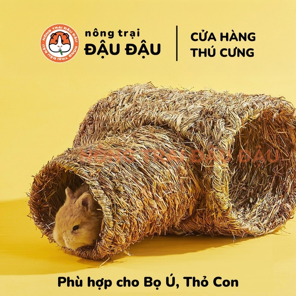 Ống Chui Cỏ Yee