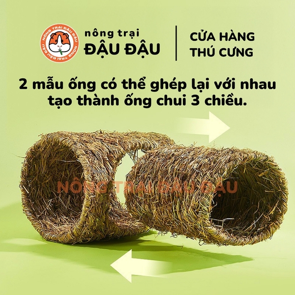Ống Chui Cỏ Yee
