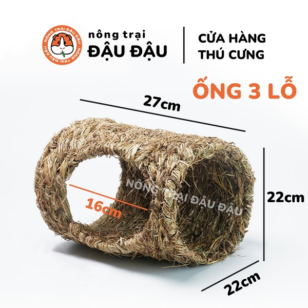 Ống Chui Cỏ Yee