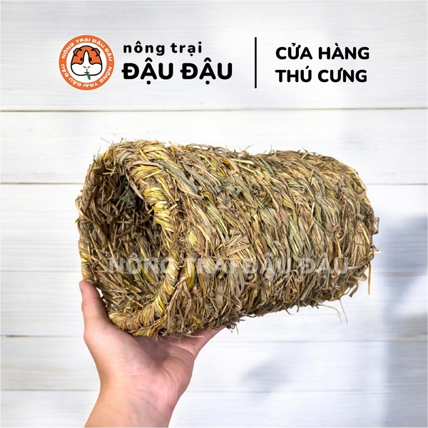 Ống Chui Cỏ Yee