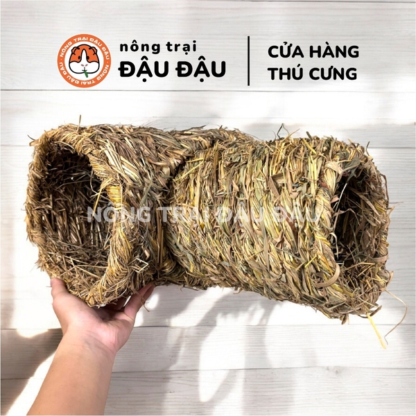 Ống Chui Cỏ Yee