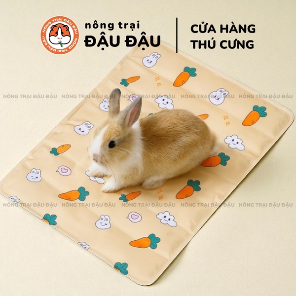 Thảm Mát Cho Thỏ, Bọ Ú, Chó, Mèo, Thú Cưng Mát Mẻ Thoải Mái
