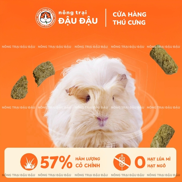 Cỏ Nén Hạt Phồng Cho Bọ Ú Niu Chong Bổ Sung Bạc Hà Giàu Dinh Dưỡng 2kg