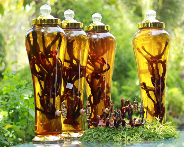 9 cách phân biệt rượu ngâm thật và giả: Cẩm nang bảo vệ sức khỏe