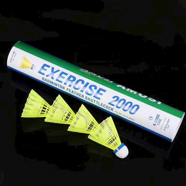 Ống Cầu Lông 2000 (12 Quả/Ống) (50 Ống/ Thùng)