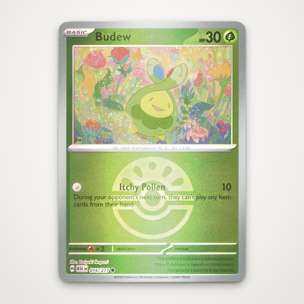 Thẻ hình Pokemon Budew 016/217 - Lá bài lẻ Ascended Heroes Common Friend Ball Holo tiếng Anh chính hãng ảnh 2