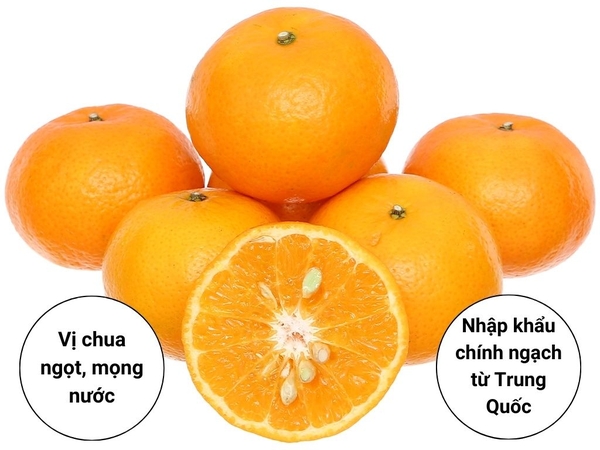 Trái Cây