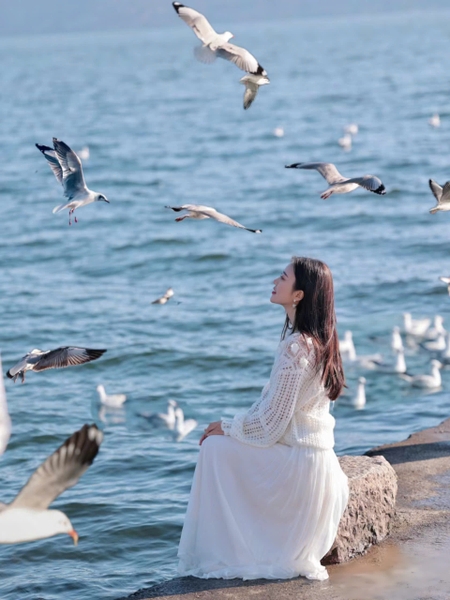 Du lịch hồ Nhĩ Hải Đại Lý mùa lá đỏ ngắm hải âu đẹp ngỡ ngàng