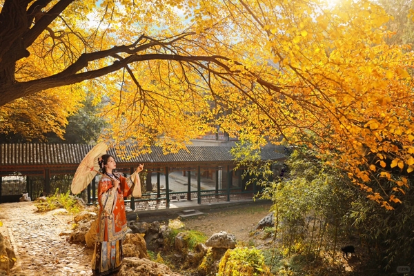 Cẩm nang tham quan Di Hòa Viên Trung Quốc chi tiết nhất