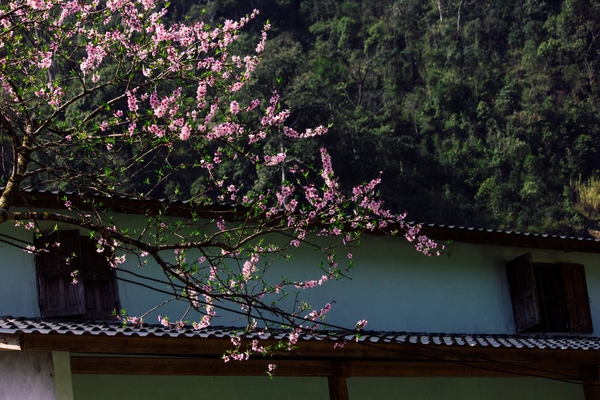 Hà Giang tháng 1 có gì?