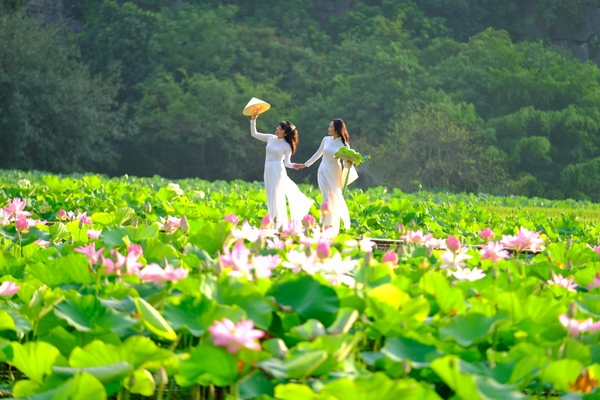 Top những địa điểm du lịch Ninh Bình nổi tiếng hút khách du lịch
