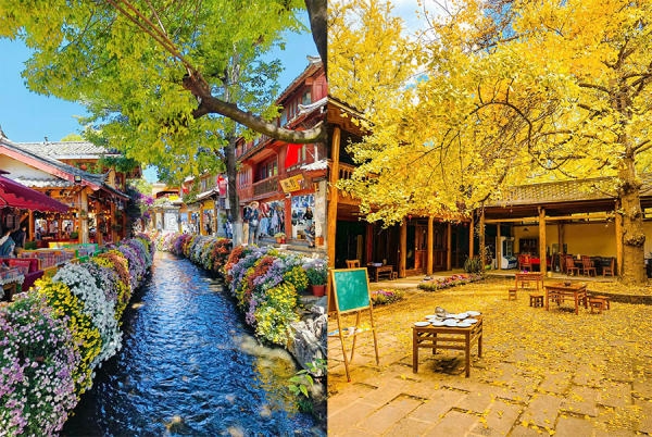 Những địa điểm ngắm cảnh mùa thu đẹp nhất Vân Nam, Trung Quốc