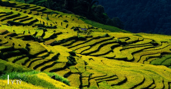 Du lịch mùa thu ở đâu đẹp nhất?