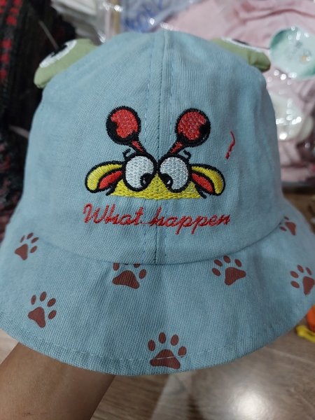 Mũ vành mắt ếch