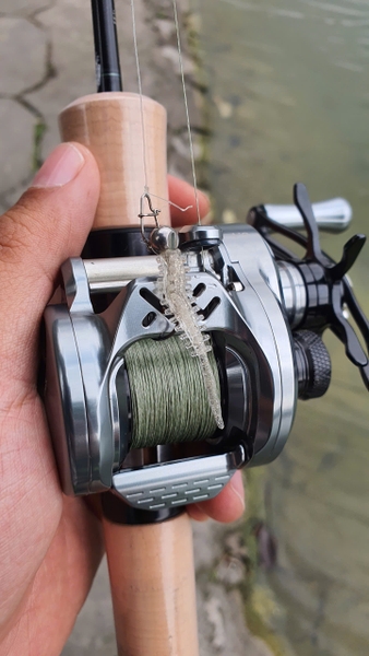 Điều Cần Biết Về Mồi Câu Lure Trước Tiên