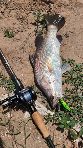 Máy Đứng hay Máy Ngang: Mới Câu Chọn Máy Nào?