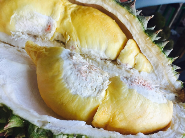 Múi sầu riêng cơm vàng