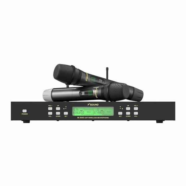 Micro P'SOUND M-3000