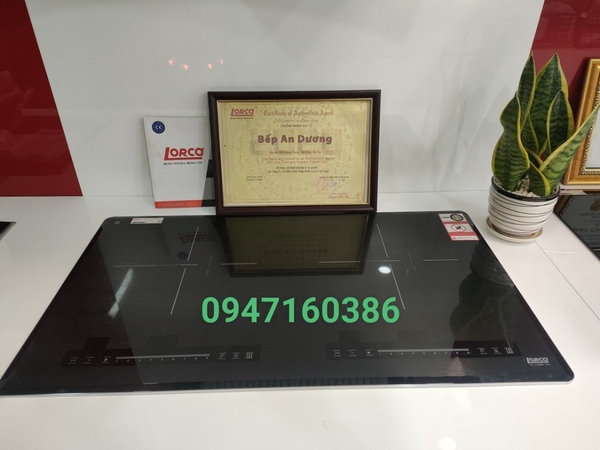 Bếp từ Lorca TA-1008 VN