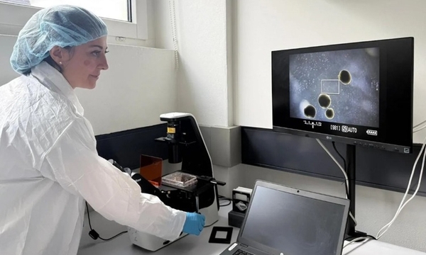 Phòng thí nghiệm nuôi não mini để vận hành máy tính