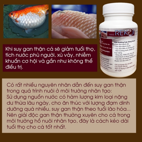 ReKoi - Thuốc giải độc gan thận, hỗ trợ tiêu hóa cho cá chai 100ml