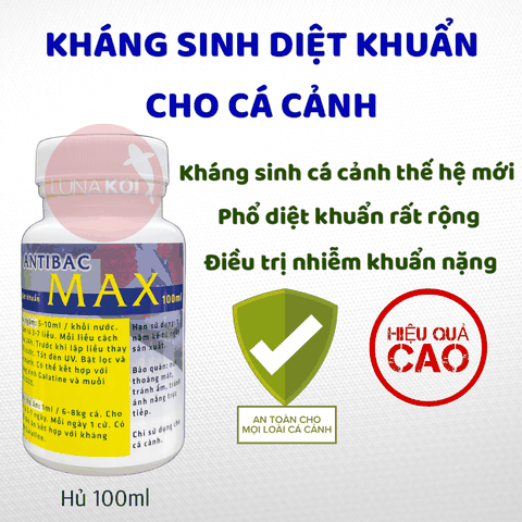 Kháng sinh cá cảnh Antibac MAX diệt khuẩn, điều trị bệnh nhiễm khuẩn, lở loét, đục mắt, thối mang cá cảnh, cá Koi