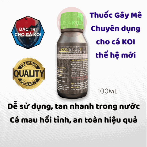 Thuốc mê chuyên dụng cho cá Koi an toàn, hiệu quả 100ml