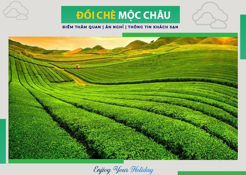 Du Lịch Mộc Châu Có Gì?