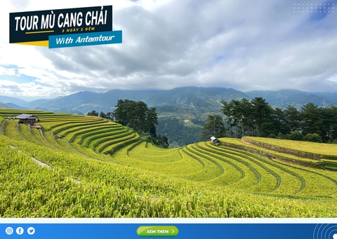 Tour Mù Cang Chải 3 Ngày 2 Đêm