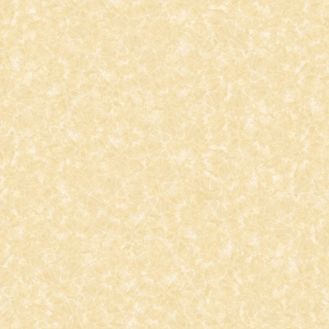 Gạch lát Mikado 50x50 MS5036