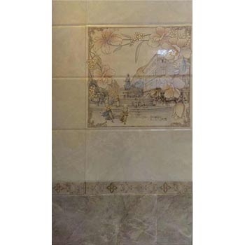 Gạch ốp vệ sinh 30x6068025