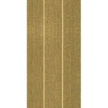 Gạch ốp vệ sinh 30×60 F3608