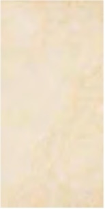 Gạch Đồng Tâm 30x60 HOABIEN004